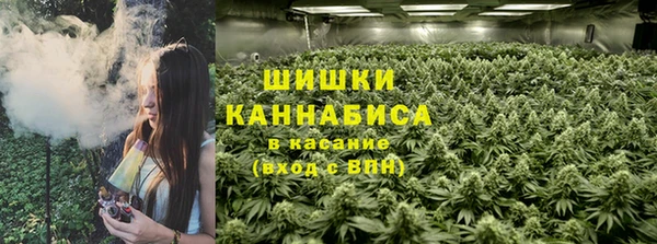 ECSTASY Алзамай