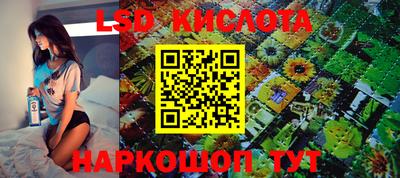 a pvp Рыбинск