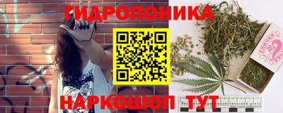 гидропоника Рязань