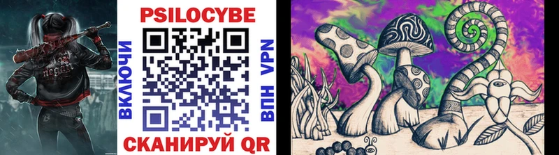 что такое   Балашов  Галлюциногенные грибы Psilocybine cubensis 