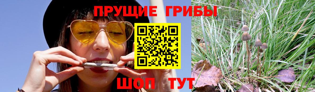 Галлюциногенные грибы Magic Shrooms Балашов